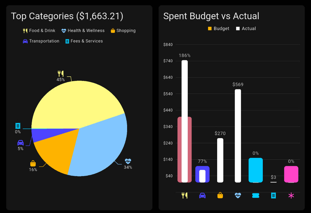 Top categories and budget vs actual charts